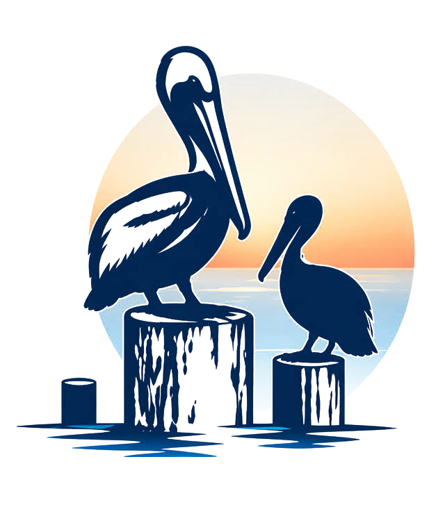 Bay Color Photo Lab — Tampa Bay Pelicans